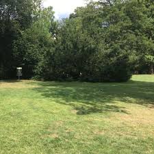 2 adressen zu seeliger in wolfenbüttel mit telefonnummer, öffnungszeiten und bewertung.1. Wolfenbuttel Seeliger Park Wolfenbuttel Germany Udisc Disc Golf Course Directory