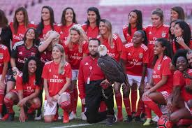 Guimarães santa clara moreirense tondela portimonense belenenses gil vicente famalicão rio ave boavista marítimo farense nacional. Fotografia Oficial Do Plantel De Futebol Feminino Do Benfica
