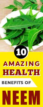 10 Amazing Health Benefits Of Neem Health Neem Health Remedies