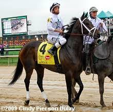 2009 Kentucky Derby Field