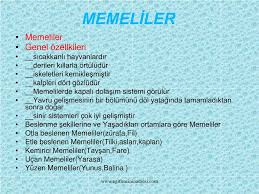 Ppt Omurgalilar Powerpoint Presentation Free Download Id 6930500