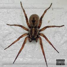 Get all the lyrics to songs by mad clip, strat (gr) and join the genius community of music scholars to learn the meaning behind the lyrics. Mad Clip Strat Gr Still Active Lyrics And Tracklist Genius