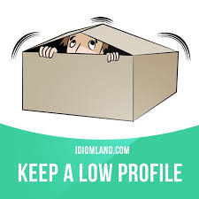 Keep A Low Profile Means To Avoid Attracting Attention To Yourself Example He S Been Keeping A Low Profile At W English Idioms Teaching Idioms Idioms