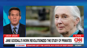 CNN Chief Media Analyst @brianstelter breaks down the uncertain financial  future of late-night television after CBS' surprise decision to cancel  top-rated "The Late Show with Stephen Colbert."