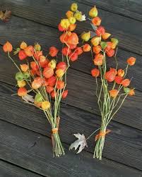 We did not find results for: Two Beautiful Dried Green And Orange Chinese Lantern Bouquets Chinese Lanterns Plant Garden Flower Beds Dried Flowers