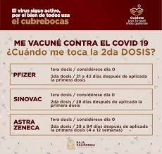 Los participantes del estudio tenían que permanecer de dos a siete días en abstinencia para analizar el conteo de sus espermatozoides. Secretaria De Salud De Baja California Bc Ssalud Twitter