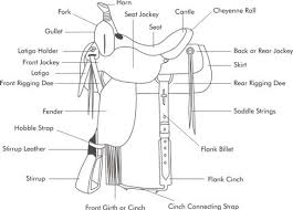 Western Saddle Parts Jpg 487 350 Pixels Horse Saddles Western Saddle Horse Grooming