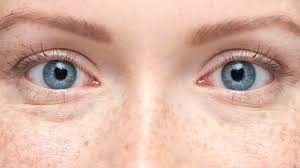 Cancer of the bladder uses a blue, yellow, and purple ribbon for recognition. Blue Eyes Anatomy Genetics Health Implications