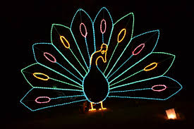 Galaxy Of Lights Peacock Huntsville Botanical Gardens Holiday Lights Lights