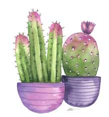 Potted Cactus In Purple Pots Original Watercolor Painting Ellencrimitrent Original Watercolor Painting Cactus Cactus Art