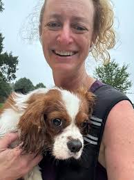 Found dog in Elkridge, Howard County, needs owner identification