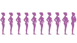 Und andere müssen erst fünfmal einen positiven schwangerschaftstest in der hand halten, bis sie es wirklich glauben können. Schwangerschaft 4 Monat