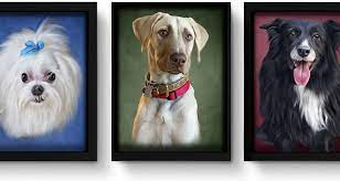 Quick and easy to order. Pet Portraits Mypoochface