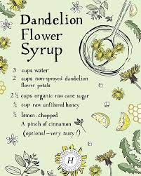 Dandelion Flower Syrup Full Directions On Herbal Academy Blog Health Hacks Herbalism Herbal Recipes Dandelion Recipes