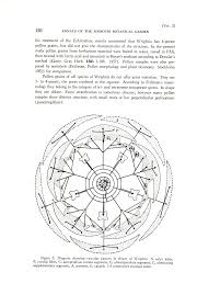 Image result for Pleioceras gilletii