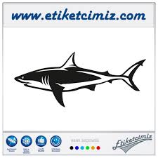 Beyaz Kopek Baligi Sticker Etiketcimiz Com