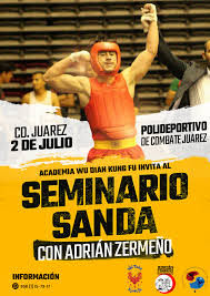 Adrian Zermeño (@adrianzwushu)