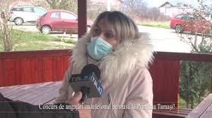 • programul de lucru cu publicul. Concurs De AngajÄri Cu Telefonul Pe MasÄ La PrimÄria TamaÈi Youtube