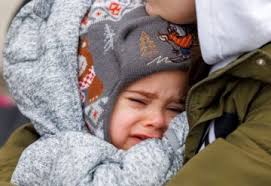 Wayne Starling Archives