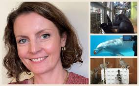 Fay Clark: Do animals feel joy?