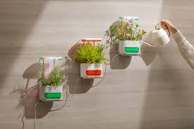 To get started, you'll need a piece of wood as the base of your vertical herb garden. Picomax Indoor Garden The Coolector