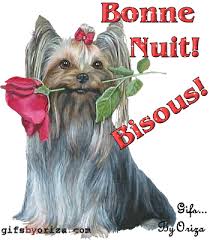 Bonne nuit gros bisous à tous mes choupinoux pic.twitter.com/gixae6bkji. Bonne Nuit Gros Bisous Gif 5 Gif Images Download