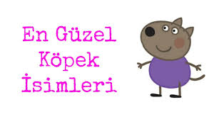 En Iyi 30 Guzel Kopek Ismi Youtube