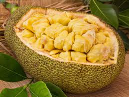 Different types of jackfruit leaves. Can We Eat Jackfruit Kathal And Curd Together Times Of India