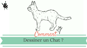Quelques exemples de dessins faciles à faire même si vous êtes complètement débutant. Comment Dessiner Un Chat Crayons Et Pinceaux