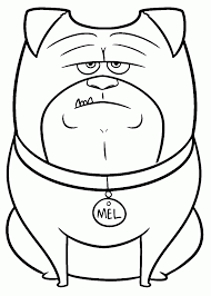 \funny and engaging, with an excellent voice cast, this animated animal adventure will entertain audiences of all ages, with perhaps an extra dollop. The Secret Life Of Pets Coloring Pages Coloring Home