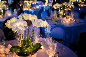 Maybe you would like to learn more about one of these? Florists In Portsmouth Nh The Knot