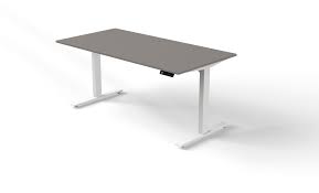 Höhenverstellbar kleinanzeigen aus schreibtisch fürs büro, gebrauchte bürotische günstig kaufen über kostenlose kleinanzeigen bei markt.de. Schreibtisch Elektrisch Hohenverstellbar Serie Etk3 160 X 80 Cm