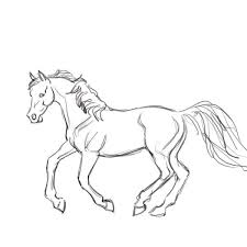 Mustang horse drawing at paintingvalleycom explore. Image Result For Mustang Horse Drawings Horse Drawings Horses Unicorn Drawing