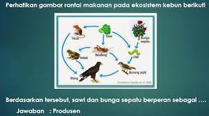 Maybe you would like to learn more about one of these? Aturan Aturan Dalam Penyusunan Soal Isian Dan Jawaban Singkat Info Dunia Edukasi