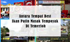 Selain di jambi, tempoyak juga dapat ditemukan di daerah lain di sumatera. Antara Tempat Best Ikan Patin Tempoyak Di Temerloh