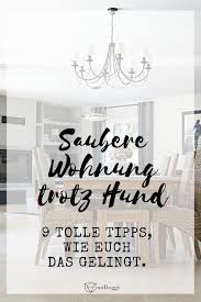Meine 9 Tipps Fur Einen Sauberen Haushalt Mit Hund Hunde Hunde Geruch Tipps