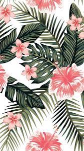 Pin De Carolina Blanco En Fondos De Pantallas Fondo De Pantalla De Hojas Fondos De Pantalla Verde Fondo De Pantalla Tropical