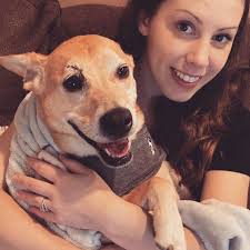 Fundraiser by Sarah Wagner : Help Nacho Get Cancer Radiation Treatment