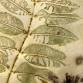 Eco Print Workshop at the Olive Free Library