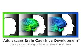 Adolescent Brain Cognitive Development℠ Study (ABCD Study®) | National  Institute on Drug Abuse (NIDA)