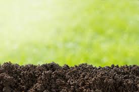 If i slowly add topsoil to improve the leveling of my yard, the grass should/will grow through the new top soil. Top Dressing Lawns How To Top Dress Your Lawn Myhometurf