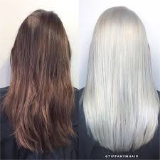 Box Brunette To Solid Platinum In 6 Hours Box Hair Dye Boxed Hair Color Silver Hair Color