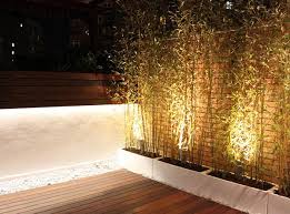Tranquilidad absoluta mientras contemplas tres bonitos ejemplares de bellasombra y. Terraza En Madrid Con Bambu Diseno De Jardines Y Terrazas Fuentes De Jardin Proyectos De Paisajismo