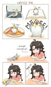 Cartoon Bird With Hair On Head Pin By N Nunez On Birds Funny Parrots Cute Funny Animals Pet Birds