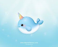 Narwhal Deviantart Cute Narwhal Narwhal Art Cute Art