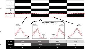 Inmensa pena por el fallecimiento de horacio gonzález, quien fuera director de la biblioteca gonzález, quien estaba a cargo del departamento de publicaciones de la biblioteca nacional, fue. Spiking Central Pattern Generators Through Reverse Engineering Of Locomotion Patterns Intechopen