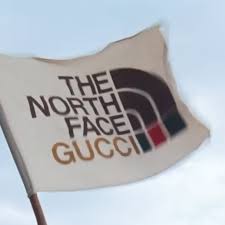 While the north face is familiar with high fashion partnerships—they've previously worked with supreme, sacai and mm6 margiela, to name a few—this marks gucci's first collab under alessandro michele's tenure. The North Face X Gucci Collaboration Popsugar Fashion Australia