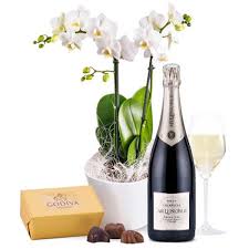 Orchidees Champagne Et Chocolats Livraison Fleurs Bouteille De Vin Magasin De Vin