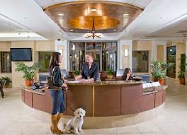 Let us take care of your pet while you are away. Pin On Traveling With The Pets