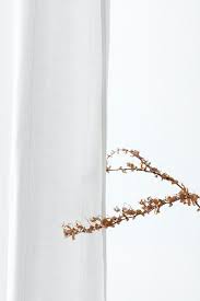 Dry Forsythia Flower By A White Curtain Free Image By Rawpixel Com Chanikarn Thongsupa In 2020 Flower Room Bloom Blossom Image